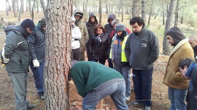 El retorno de los resineros a la región