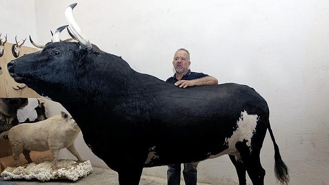 La última embestida de «Ratón», el toro asesino