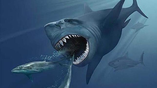 Ilustración del impresionante megalodón, que podía llegar a medir 20 metros