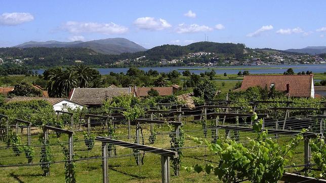 Paisaje de la DO Rías Baixas