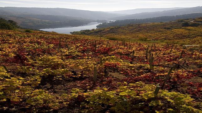 Baltar peleará de nuevo para lograr que la Ribeira Sacra sea Patrimonio  de la Humanidad