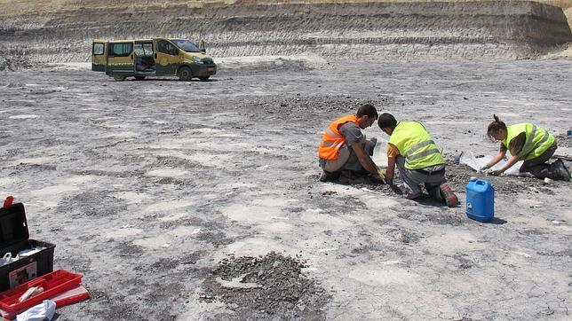 Una cantera de arcilla saca a la luz más de 600 huellas de dinosaurios
