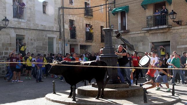 El «toro enmaromado» recorre las calles de Astudillo, pese a estar prohibido