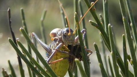 AdapteCCa: el almacén de información sobre cambio climático