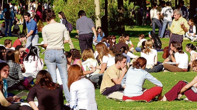 Un enjambre de universidades