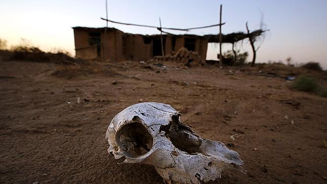 Los expertos estudian rebajar la previsión de calentamiento global