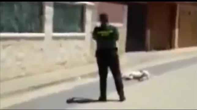 Difunden un vídeo de un guardia civil disparando contra un pitbull