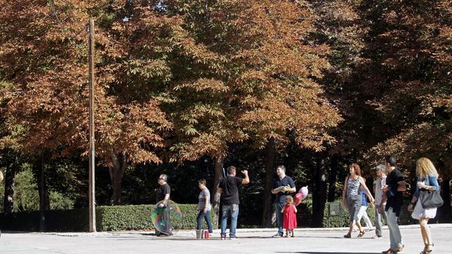 Helsinki, la ciudad más «honesta» según el test de «las carteras abandonadas»