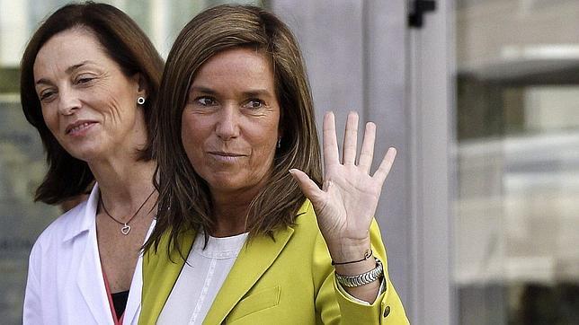 Mato: «No hay más que ver al Rey para saber que la operación ha sido un éxito»