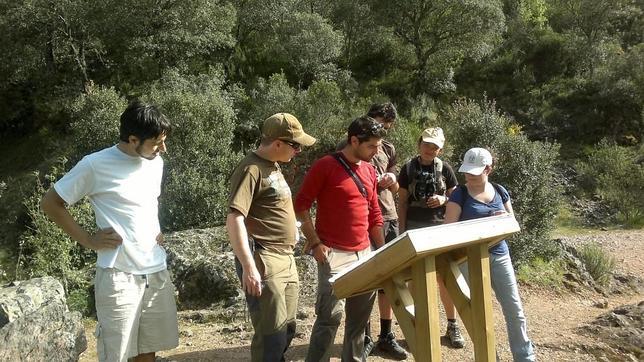 SEO/BirdLife acredita a cinco empresas de turismo ornitológico