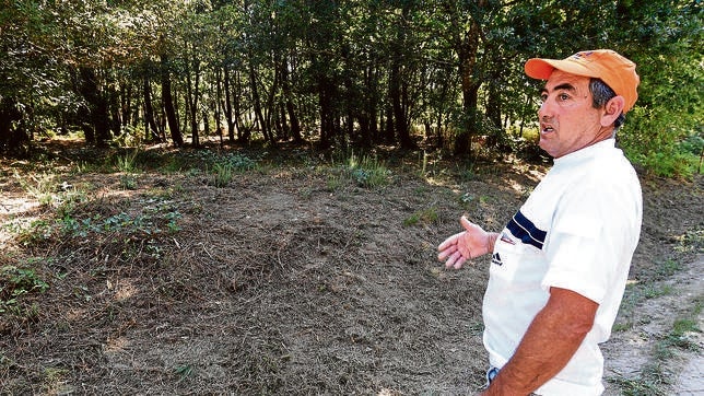 «El cuerpo de Asunta estaba en otra postura cuando volvimos de pedir ayuda»