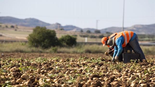 Los sectores más castigados por el paro durante la crisis