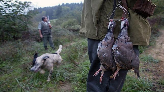 Comienza la caza: Menos escopetas para más especies