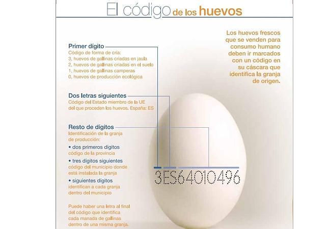 Huevos ecológicos, camperos, de jaula... ¿en qué se diferencian?