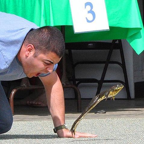 Un descubrimiento científico de récord, en un concurso de saltos de ranas