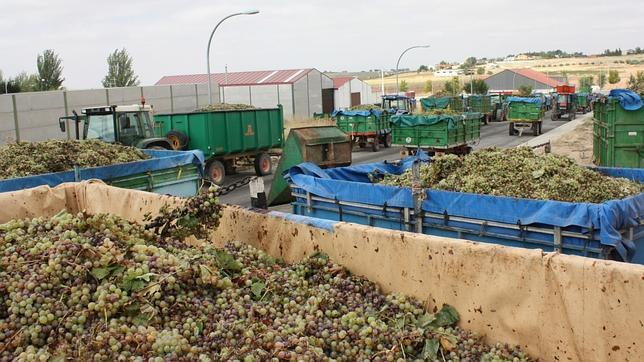 Los problemas de tener la cosecha del siglo