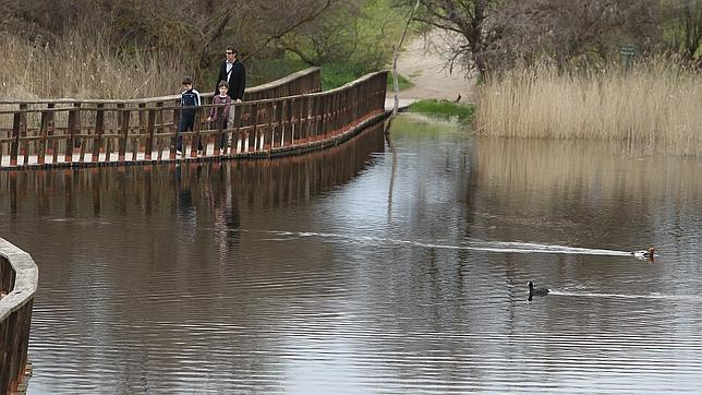 Visita a las Tablas de Daimiel
