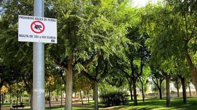 A la caza de los dueños incívicos de perros