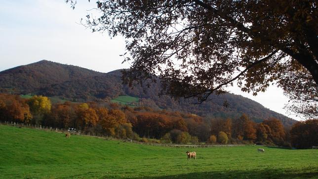 Valle de Ultzama en otoño