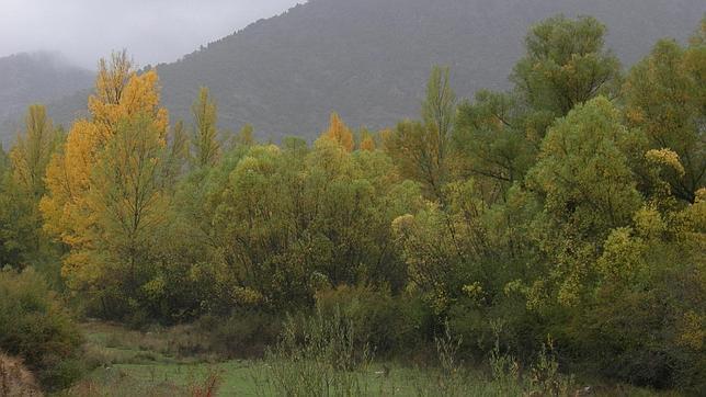 Sierra de Valdemeca (Cuenca)