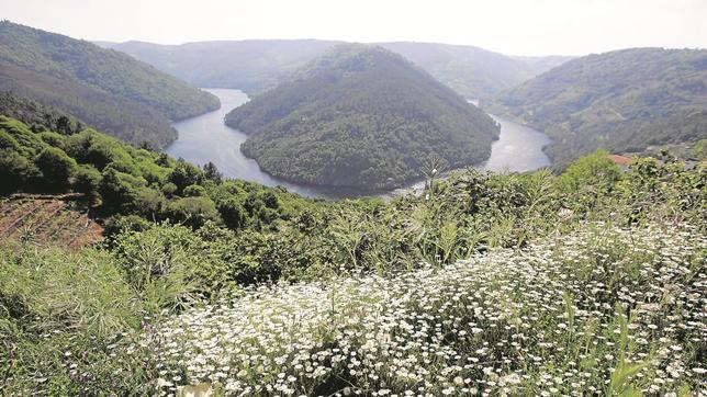 El Senado apoyará la candidatura de la Ribeira Sacra para ser Patrimonio de la Humanidad