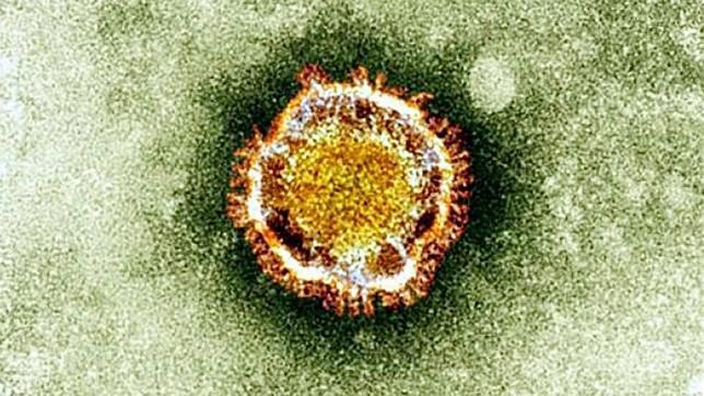 Como prevenir el contagio del nuevo coronavirus