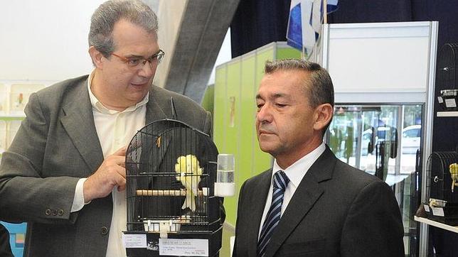 Coalición Canaria está en quiebra técnica según el Tribunal de Cuentas