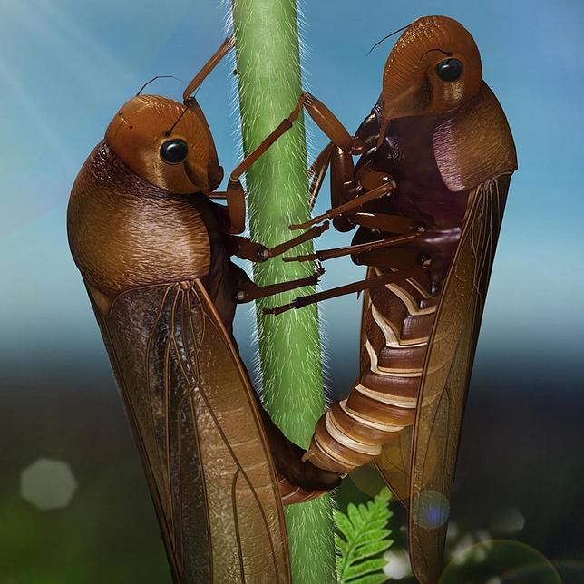 La misma forma de practicar sexo, desde hace 165 millones de años