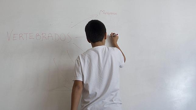 Lo aprendiste de memoria... y ¿lo memorizarán tus hijos?