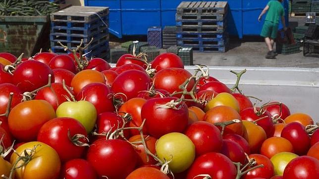El sofrito de tomate, la salsa perfecta para proteger el corazón