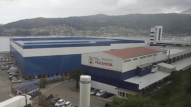 La auditora BDO reconoce que Pescanova usaba una «contabilidad B»