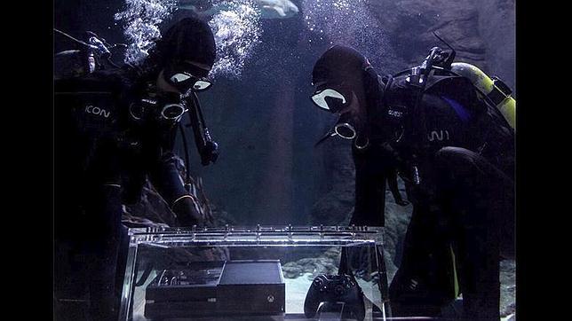 Tiburones tigres protegen la primera Xbox One que se pondrá en venta