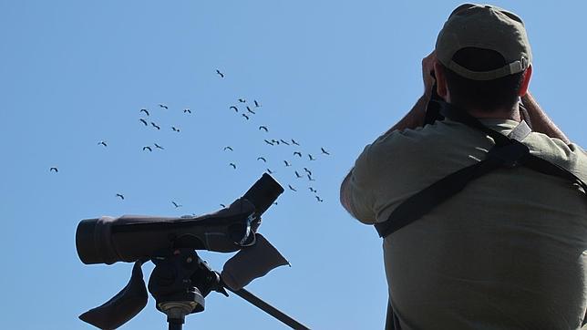 Navarra tiene el punto de observación de aves migratorias más importante de Europa