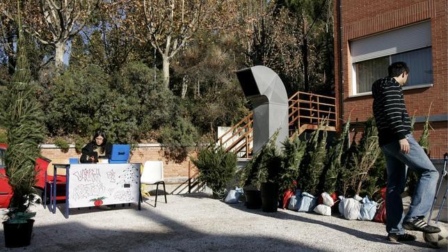Cinco razones para poner en casa un árbol natural estas Navidades