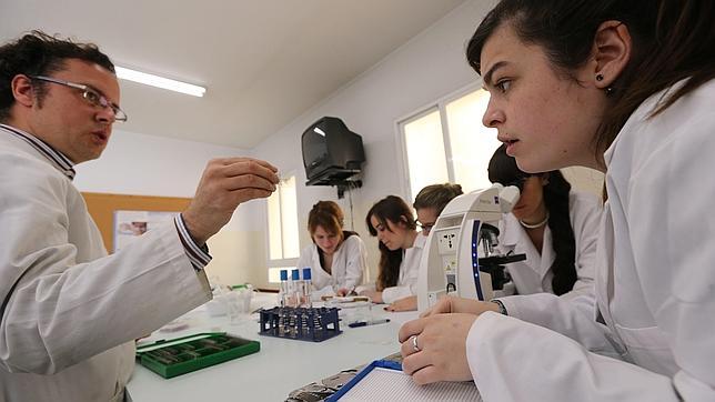La formación profesional, un pilar clave en la Lomce