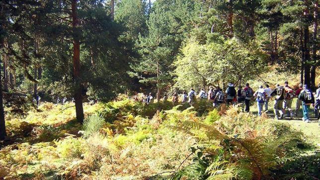 El Parque Nacional del Guadarrama ha recibido 600.000 visitas en tres meses