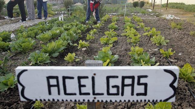 Programa empleaverde 2014: 3,1 millones de euros de inversión