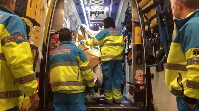 Herido por mordeduras y zarpazos de un tigre el domador del circo Gottani