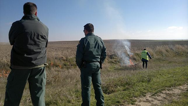 Las quemas por la presencia «anormal» de topillos se extienden a 340 pueblos