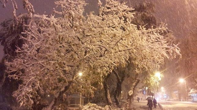 La peor tormenta de nieve de Israel en medio siglo aísla a Jerusalén