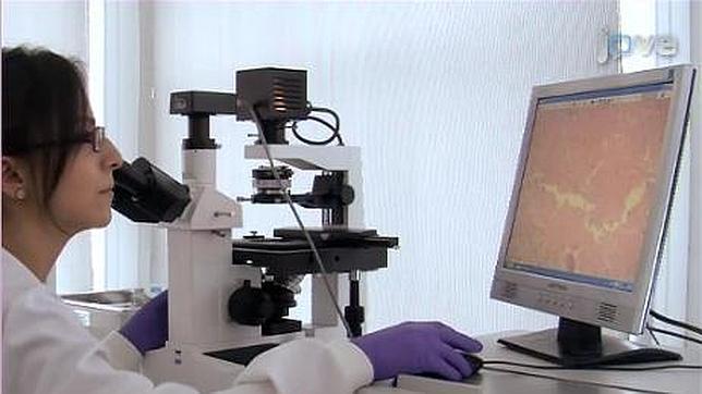 Desarrollan un método para reprogramar células sin el riesgo de tumores