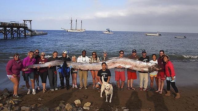 El primer pez remo de 5 metros encontrado en aguas de California