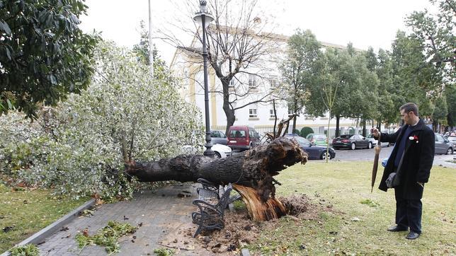 Quince comunidades mantienen la alerta por el temporal de lluvia y viento