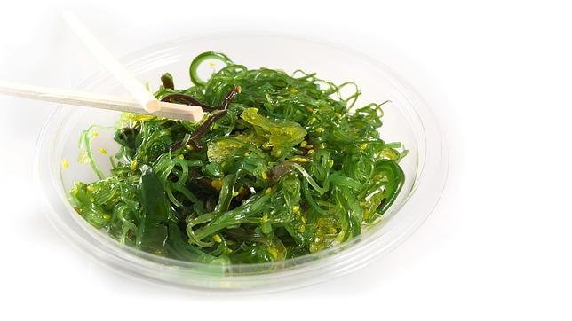 Una ensalada de algas