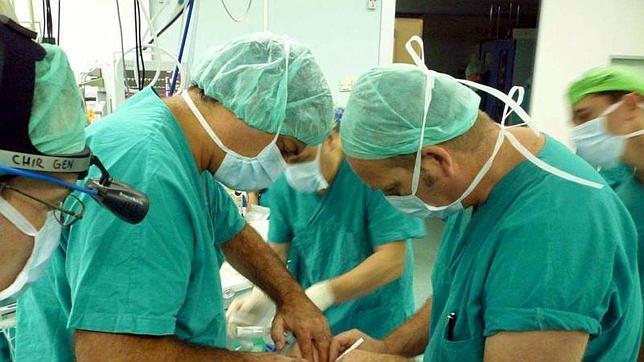 España batió en 2013 su récord histórico de trasplantes