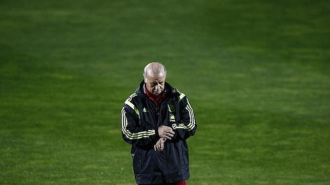 El diputado general de Vizcaya cree que España no debe jugar en San Mamés si no es como visitante