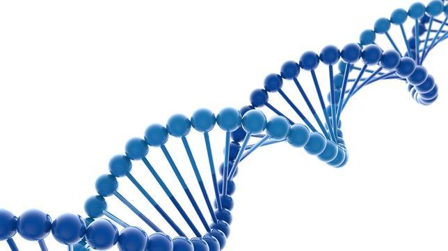 Buenas noticias para los hombres: Niegan que el cromosoma Y masculino esté cerca de su desaparición