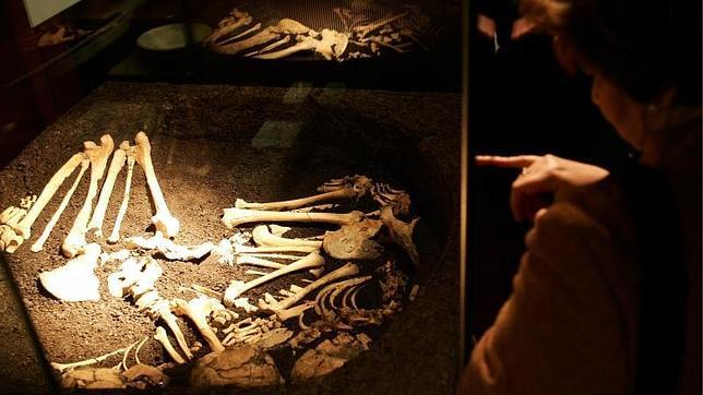 «Parque jurásico» en Madrid