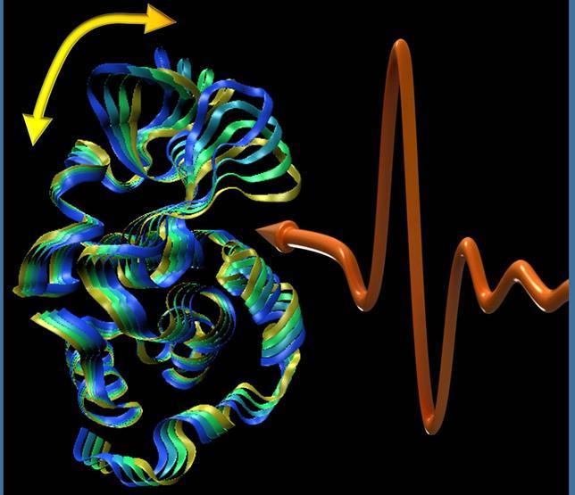 La «música secreta de la vida», al descubierto