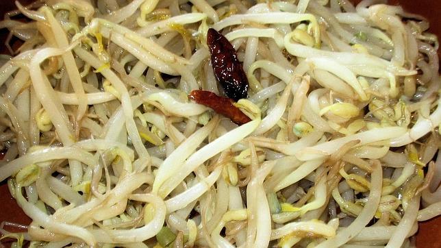 Además de su efectividad para prevenir trastornos de la menopausia, es beneficiosa para la salud del cerebro